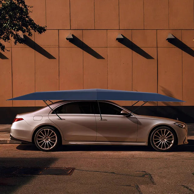 Ayaphoria Car AutoShade
