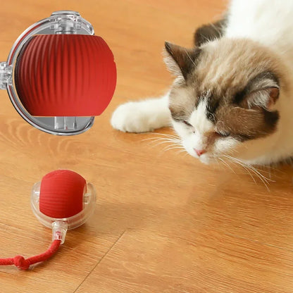 Electric cat toy ball