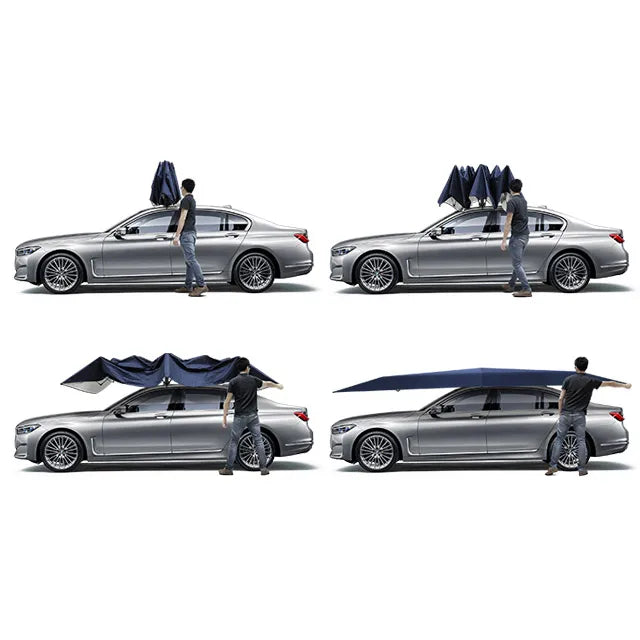 Ayaphoria Car AutoShade