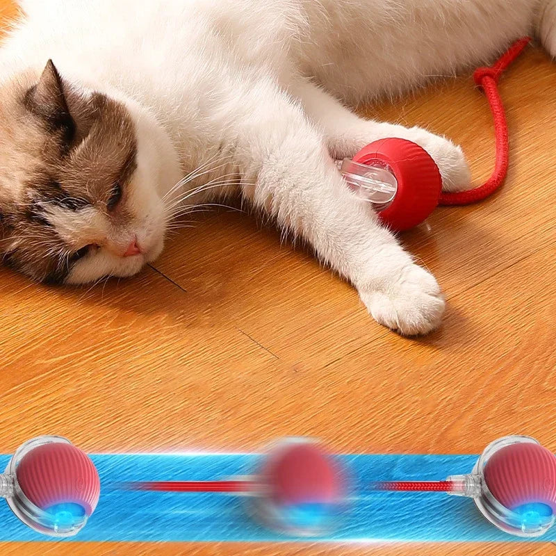 Electric cat toy ball