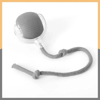 Electric cat toy ball