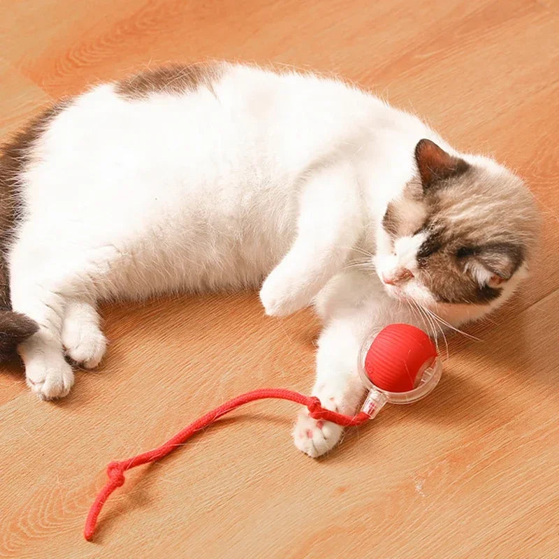 Electric cat toy ball