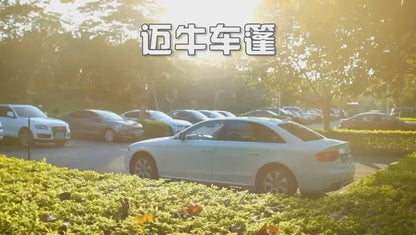 Ayaphoria Car AutoShade